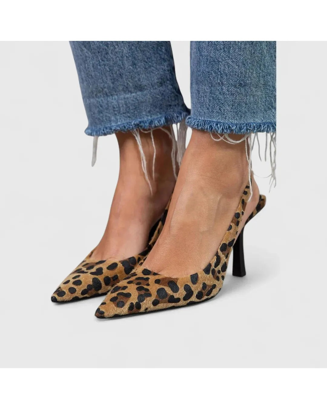 Leopardo