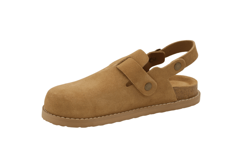 Camel