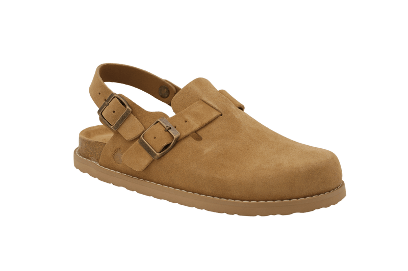 Camel