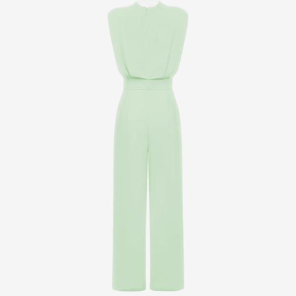 Ariia™ Shaped-Waist Jumpsuit