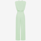 Ariia™ Shaped-Waist Jumpsuit