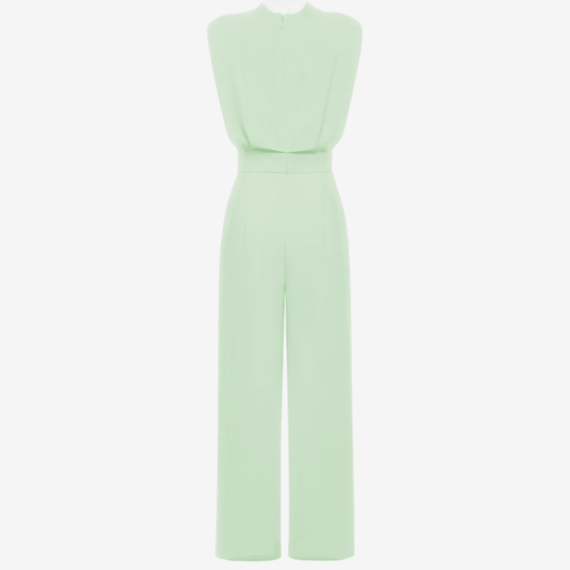 Ariia™ Shaped-Waist Jumpsuit